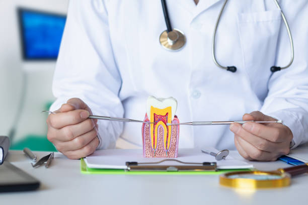 Best Emergency Dental Services for Seniors in Oceanside, CA